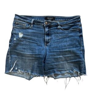 Judy Blue Dark Wash Jean Shorts in a Size Large
